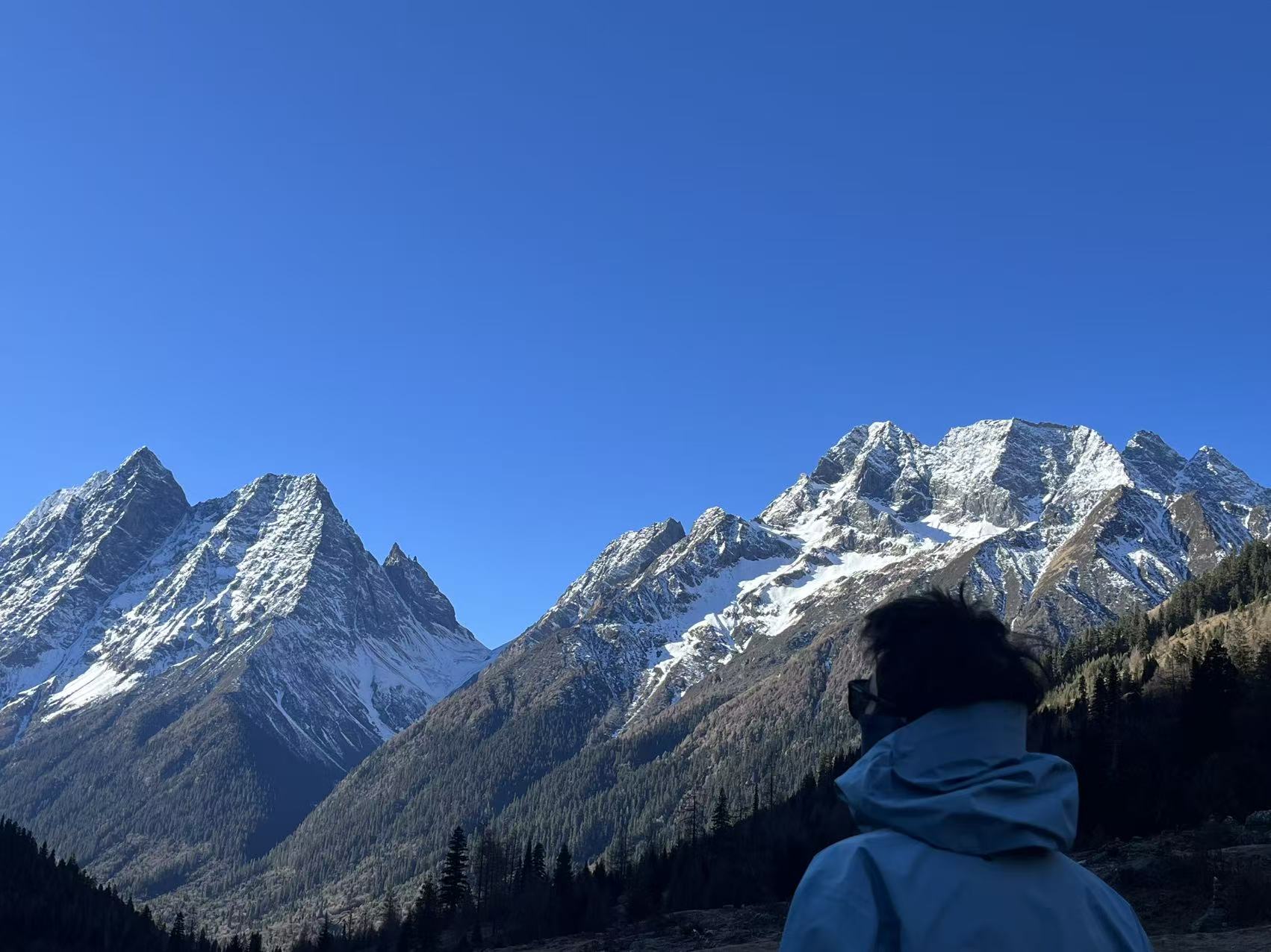 A person in a blue jacket looking toward snow-covered mountains